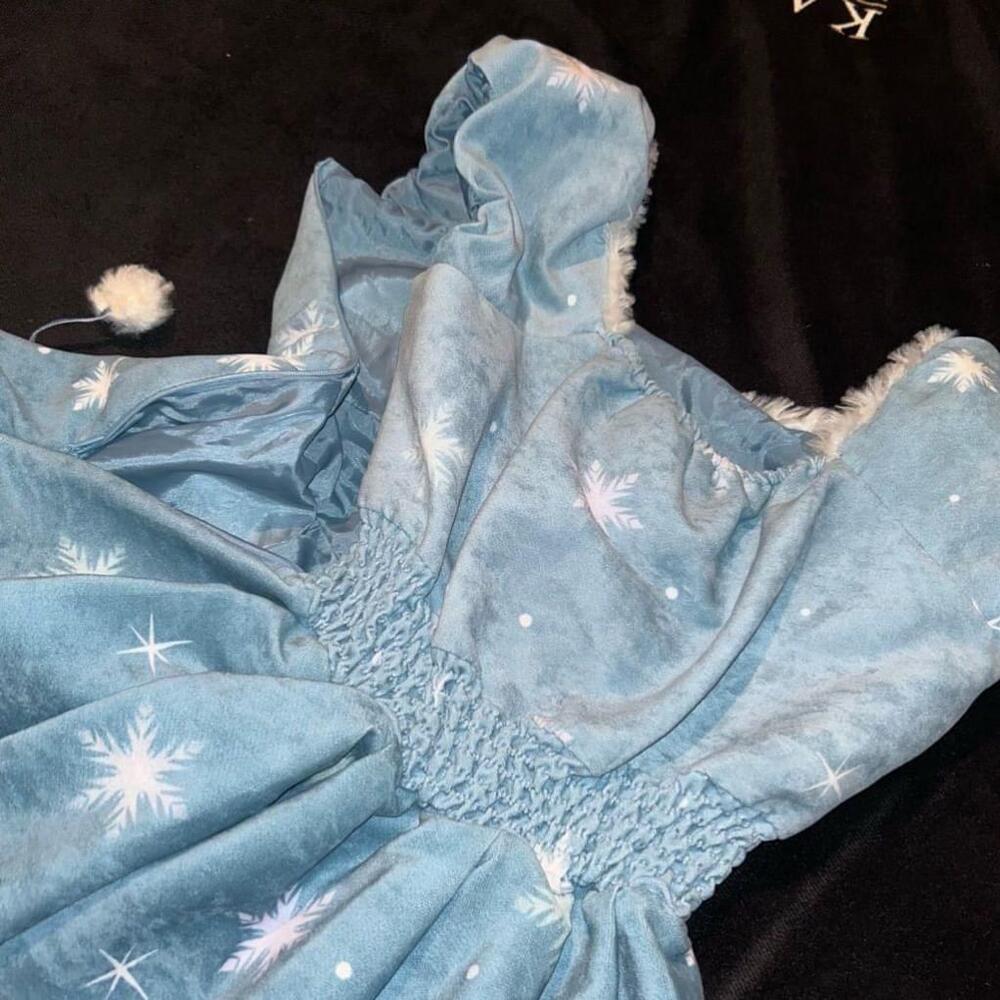 Disney Secret Honey Frozen Anna Elsa Adult Dress Winter Olaf Tagged - Picture 8 of 9